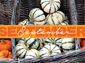 September